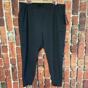 The North Face Womens Size 2XL XXL Laterra Utility Joggers Pants UPF 40 Hiking